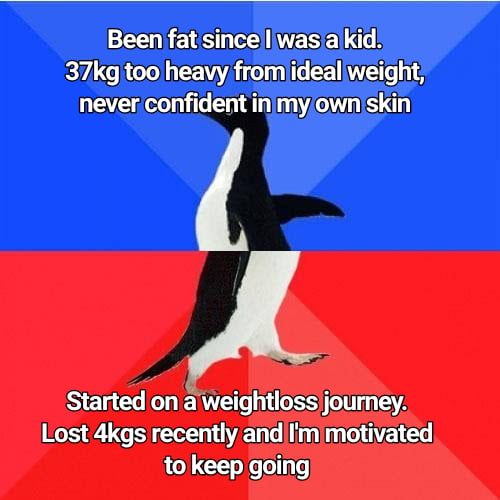 T RS EINESE L B 37kg too heavy from ideallweight never confident inmyowniskin Started on aweightloss journey Lost 4kgs recently andImmotivated to keep going