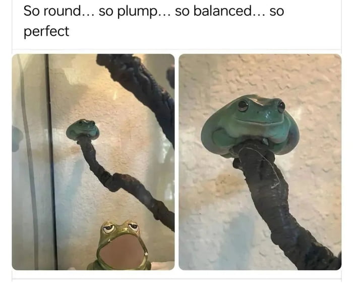 So round so plump so balanced so perfect