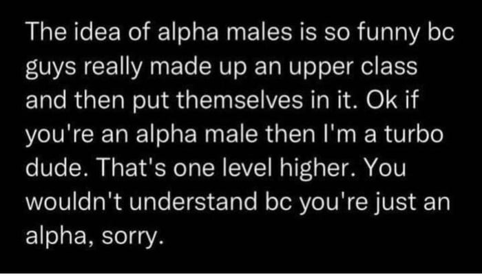 The idea of alpha males is so funny bc guys really made up an upper class and then put themselves in it Ok if youre an alpha male then Im a turbo dude Thats one level higher You TN R AV Te TS ETale R TRV TN CH VS 1 alpha sorry