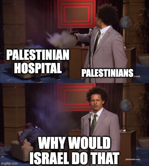 L N PALESTINIAN HOSPITAL ppsmimians 3 el WHYWOULD T T