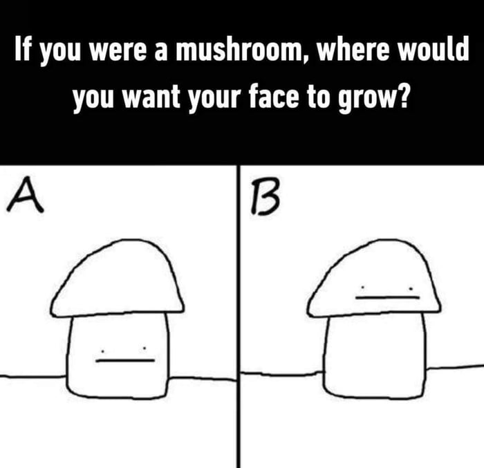 RTITRTCICER T LT Y LT CRTTG you want your face to grow