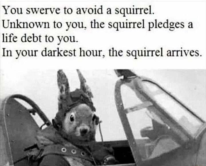 You swerve to avoid a squirrel Unknown to you the squirrel pledges a life debt to you In your darkest hour the squirrel arrives