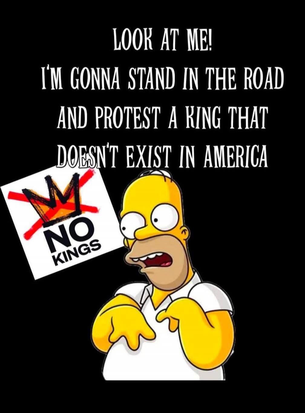 LOOK AT ME! I'M GONNA STAND IN THE ROAD AND PROTEST A KING THAT DOESN'T EXIST IN AMERICA. NO KINGS.