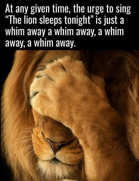 At any given time, the urge to sing “The lion sleeps tonight” is just a whim away a whim away, a whim away, a whim away.