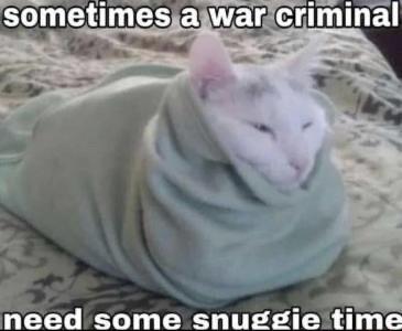 need some snugeie time