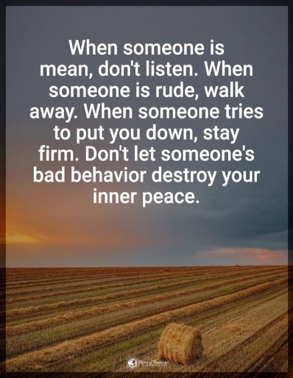 When someone is mean, don't listen. When someone is rude, walk away. When someone tries to put you down, stay firm. Don't let someone's bad behavior destroy your inner peace.