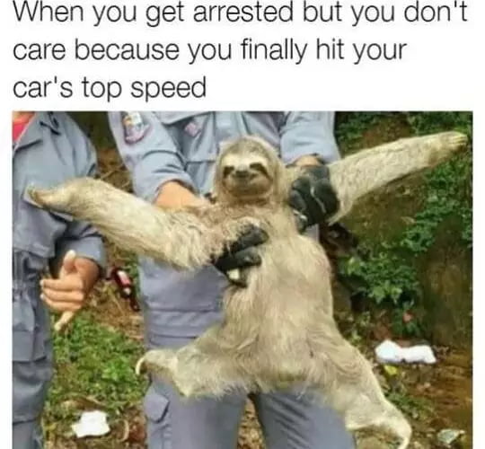 VWhen you get arrested but you d care because you finally hit your cars top speed