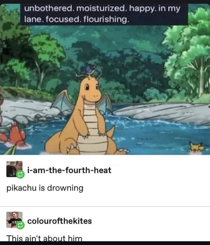 unbothered moisturized happy in my lane focused flourishing l i am the fourth heat pikachu is drowning s colourofthekites