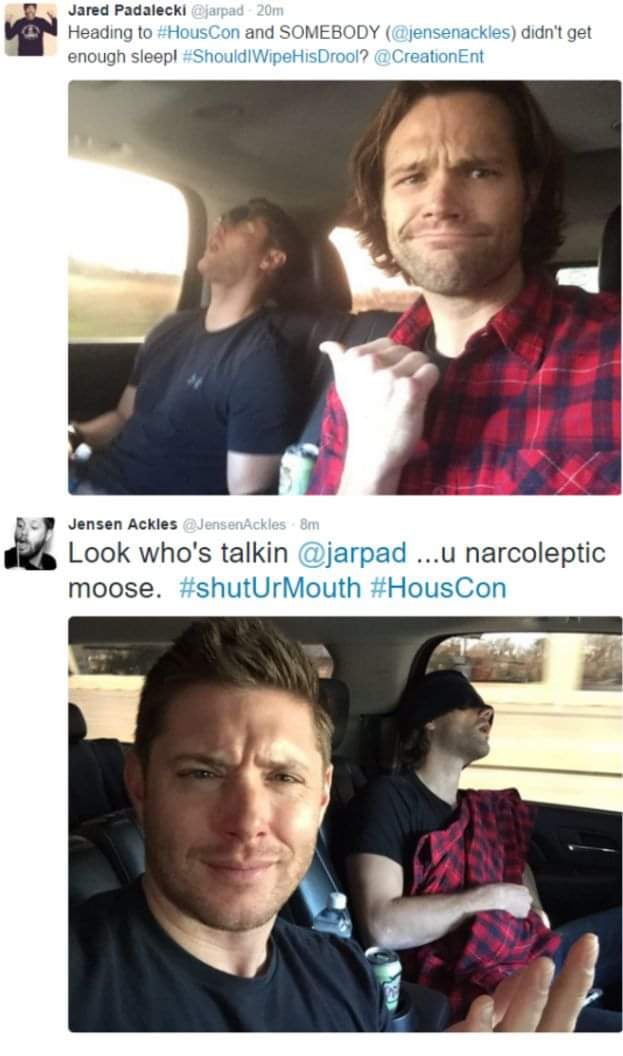 l Jared Padaleck e 1 ough sieep jensen Ackles Look whos talkin moose shutUrN