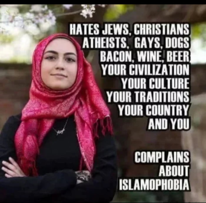 Amm GAYS DOES BACON WINE BEER YOUR EIVILIZATION YOUR CULTURE YOUR TRADITIONS s 5 YOUR COUNTRY AND YU nnmum SN ABOUT ISLAMOPHOBIA y HAIES IEWS CIIHISIIMIS