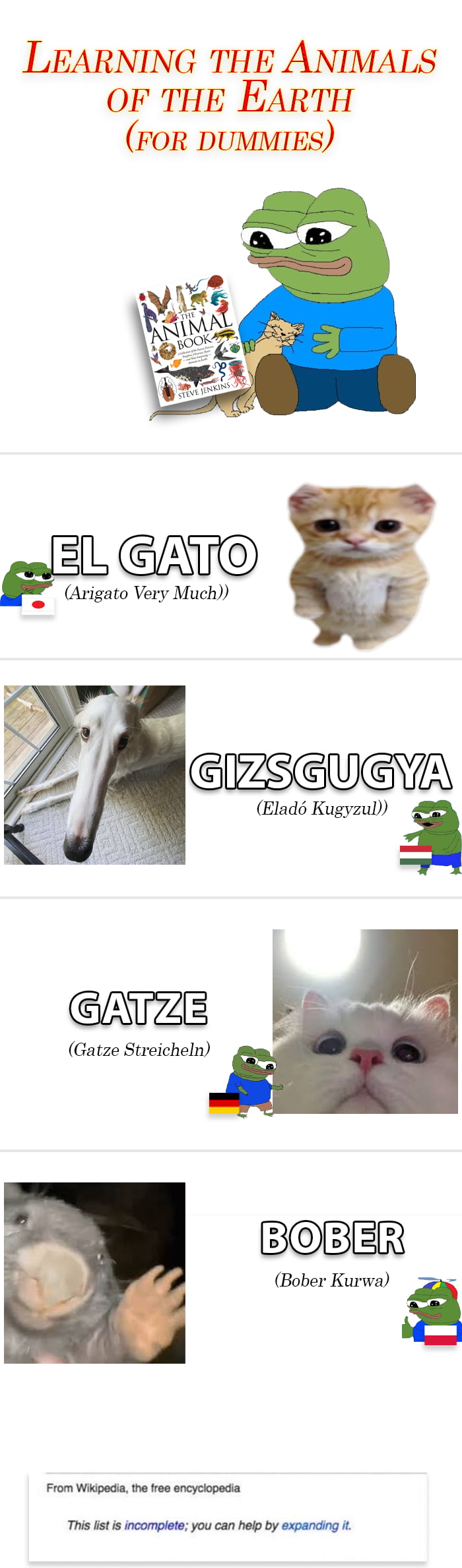 LEARNING THE ANIMALS OF THE EARTH FOR DUMMIES L O Arigato Very Much Elad Kugyzul ArzE Gatze Streicheln BOBER Bober Kurwa a From Wikipeda the free encyciopedia This st s incomplete you can help by expanding it