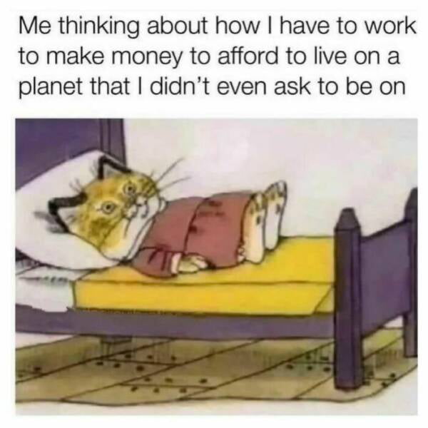 Me thinking about how have to work to make money to afford to live on a planet that didnt even ask to be on