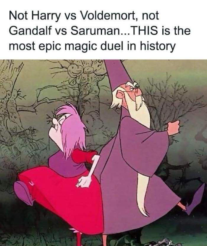 Not Harry vs Voldemort not Gandalf vs SarumanTHIS is the most epic magic duel in history