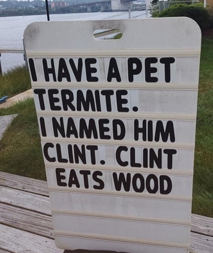 HAIE APET TERNTE NAMED HIM cum CLINT EATS WOOD