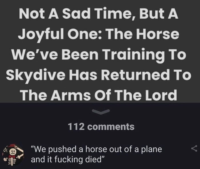Not A Sad Time But A NV VIR T T 3 1 5 T 1 LV CRVEY R R G T T T Skydive Has Returned To The Arms Of The Lord 112 comments 9 We pushed a horse out of a plane and it fucking died