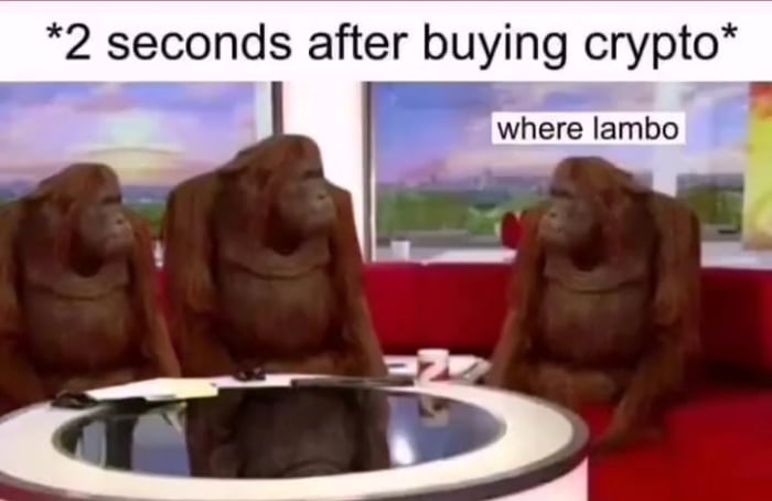 2 seconds after buying crypto where lambo