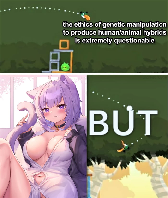 I e a the ethics of genetic manipulation LOICL TR EREL TN ENNL IS D is extremely questionable