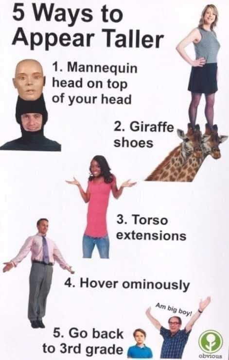 5 Ways to Appear Taller 1 Mannequin head on top of your head 2 Giraffe shoes 3 Torso extensions y 4 Hover ominously A a y 5 Go back to 3rd grade