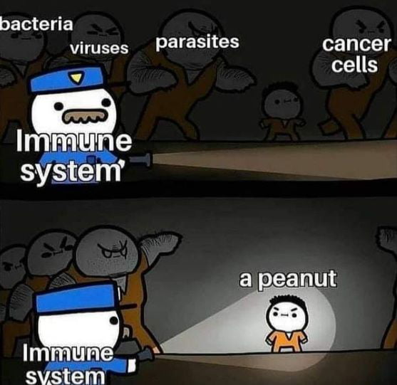 bacteria viruses Parasites cancer cells