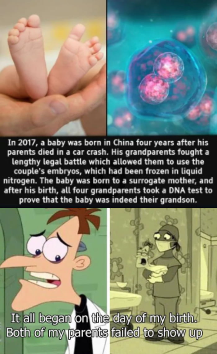 In 2017 a baby was born in China four years after his parents died in a car crash His grandparents fought a CUT 1A CH TR EY R T IR L GUVET R T R CRTECR G T couples embryos which had been frozen in liquid nitrogen The baby was born to a surrogate mother and after his birth all four grandparents took a DNA test to prove that the baby was indeed their grandson