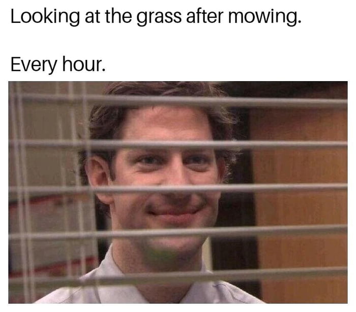 Looking at the grass after mowing Every hour