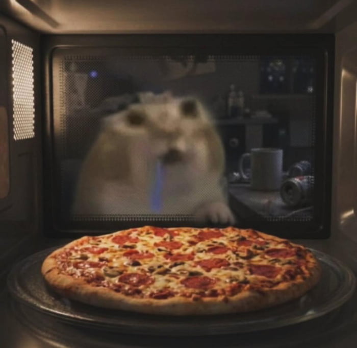 A whole pepperoni pizza is placed inside a microwave. Reflected in the microwave door is a blurry image of a dog, possibly a Shiba Inu, looking intently at the pizza with an eager expression.