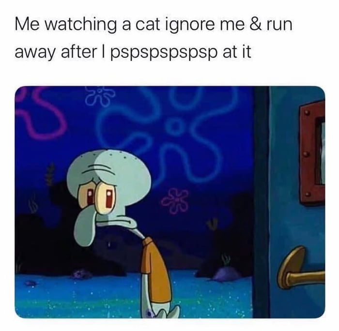 Me watching a cat ignore me & run away after I pspspspspspsp at it