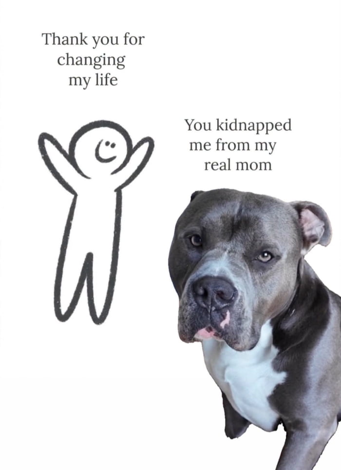 Thank you for changing my life. You kidnapped me from my real mom.