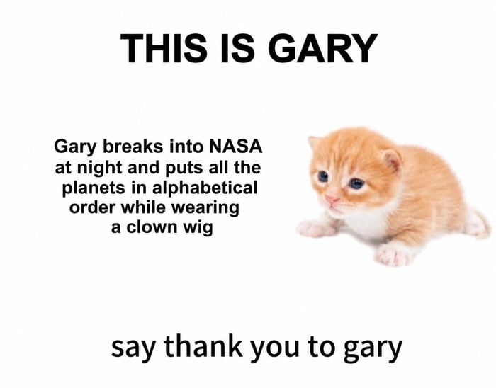 THIS IS GARY Gary breaks into NASA at night and puts all the planets in alphabetical order while wearing a clown wig say thank you to gary