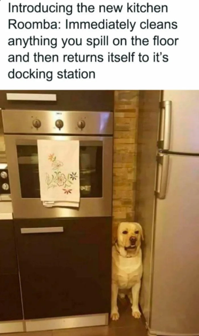 Introducing the new kitchen Roomba: Immediately cleans anything you spill on the floor and then returns itself to it's docking station