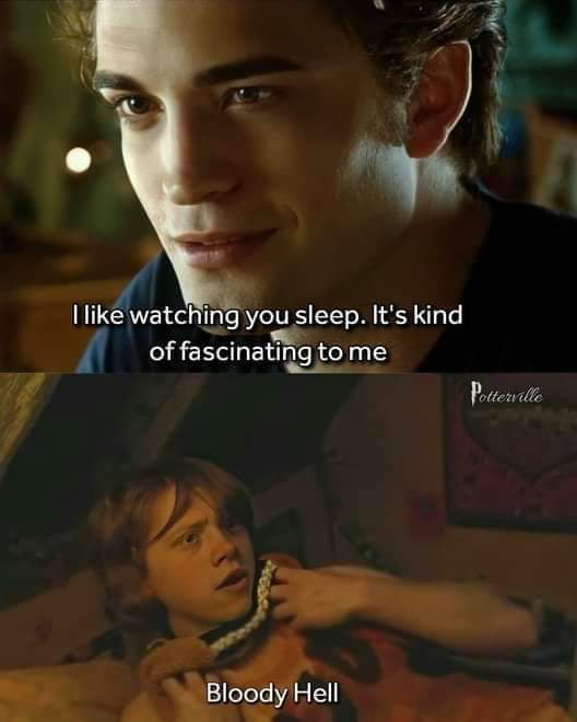 Potcearctie