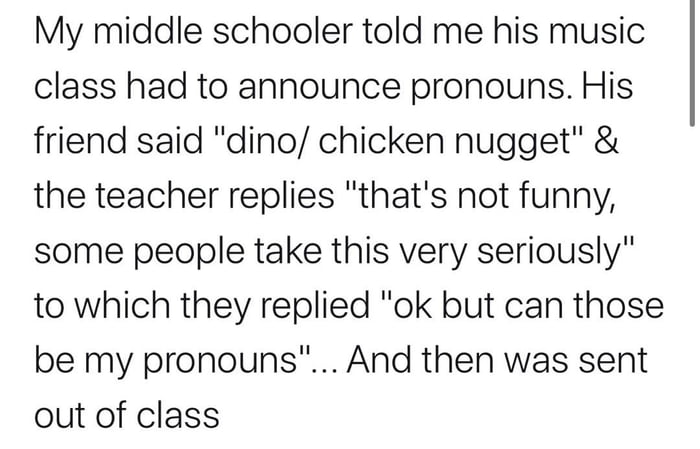 My middle schooler told me his music class had to announce pronouns His friend said dino chicken nugget the teacher replies thats not funny some people take this very seriously to which they replied ok but can those be my pronouns And then was sent out of class