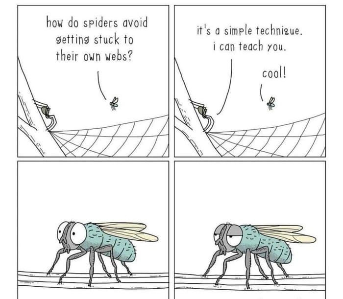 how do spiders avoid getting stuck to their own webs its a simple technizue i can teach you cool Ji