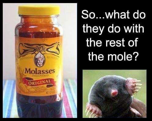 STo IR o P18 o they do with the rest of the mole