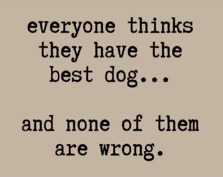 everyone thinks they have the best dog... and none of them are wrong.