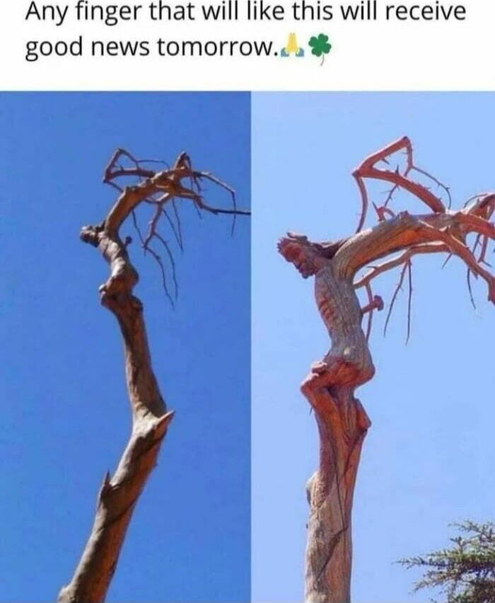 Any finger that will like this will receive good news tomorrow. 🙏🍀