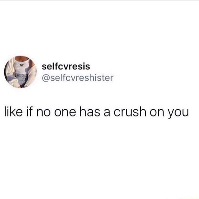 selfcvresis selfcvreshister like if no one has a crush on you