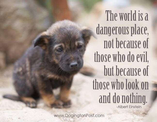 The world is a dangerous place, not because of those who do evil, but because of those who look on and do nothing. -Albert Einstein