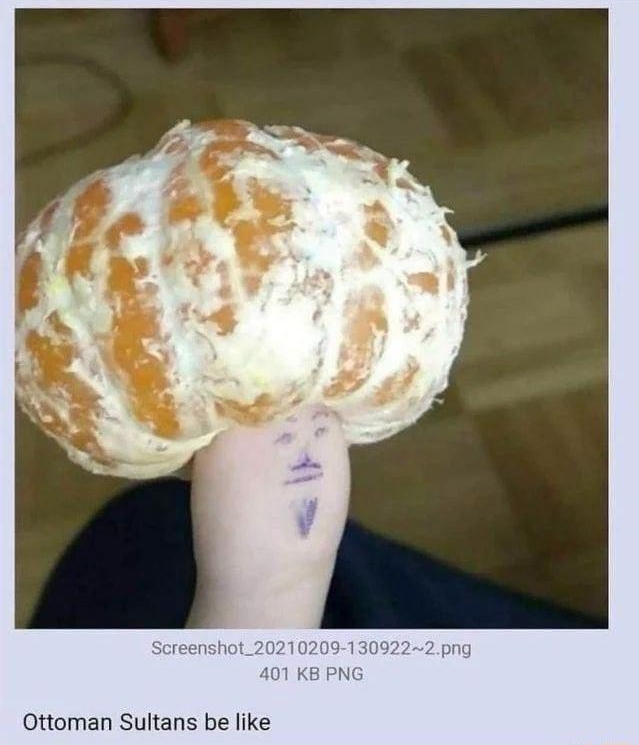 i Anonymous _ 020921Tue171041 No139234028 401 Ottoman Sultans be like