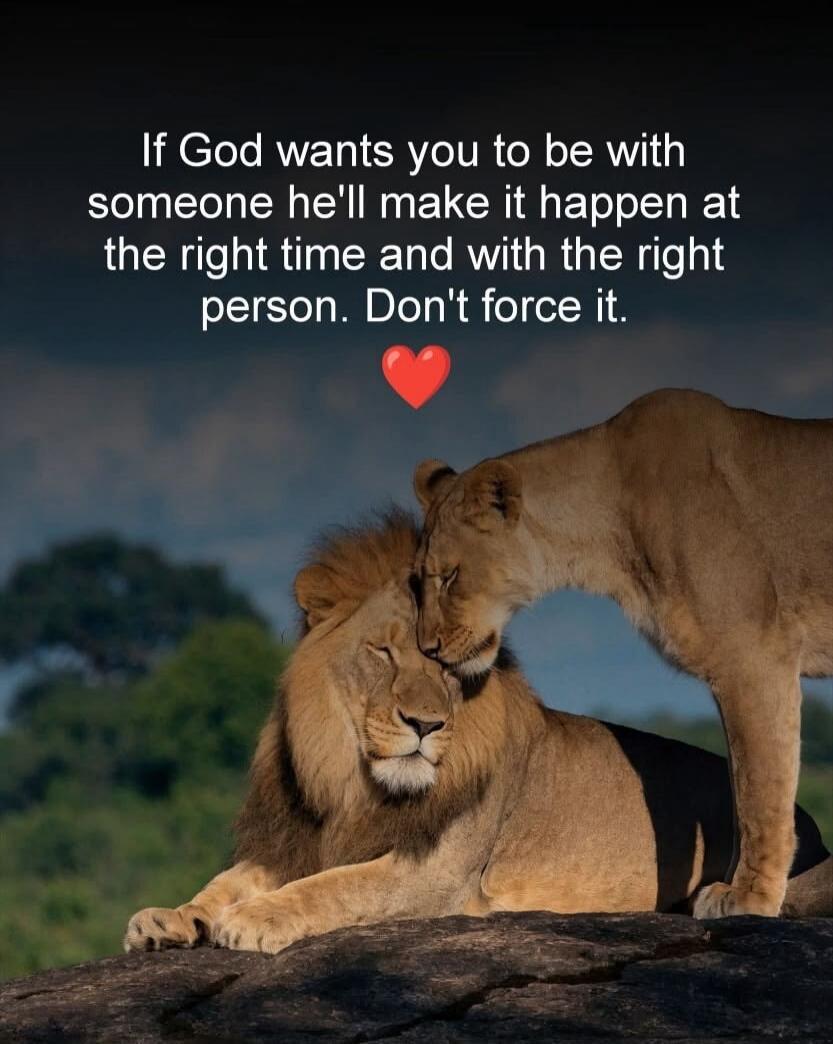 If God wants you to be with someone he'll make it happen at the right time and with the right person. Don't force it.