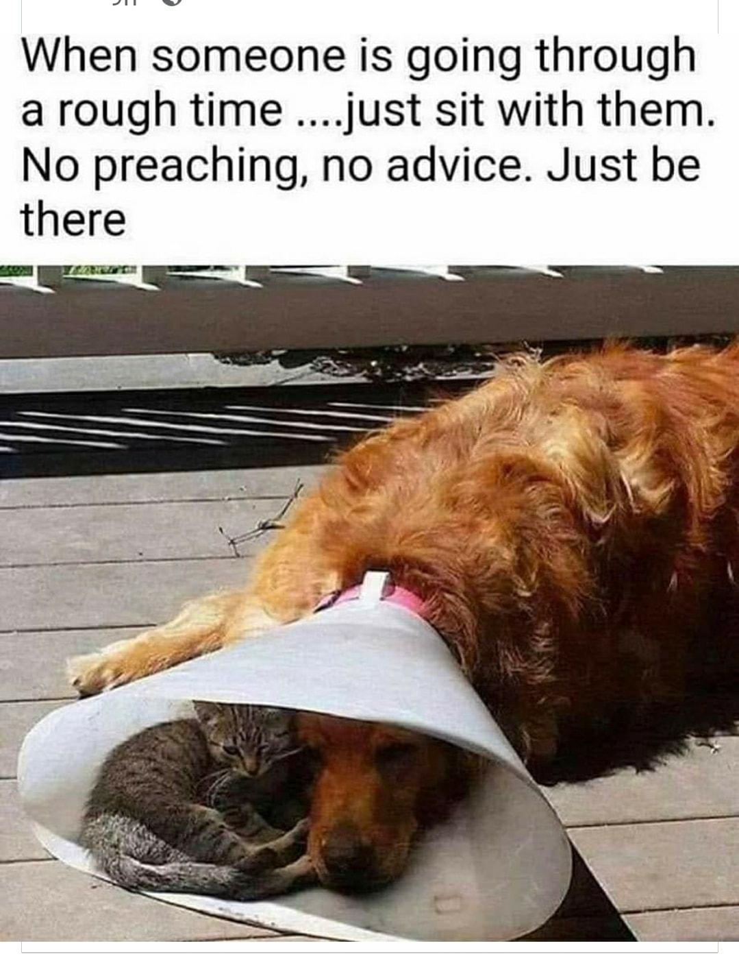 L i When someone is going through a rough time just sit with them No preaching no advice Just be there