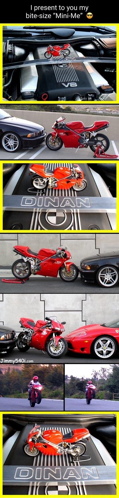 present to you my bite size Mini Me