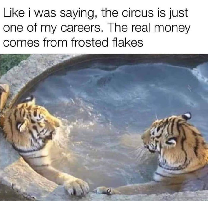 Like i was saying the circus is just one of my careers The real money comes from frosted flakes