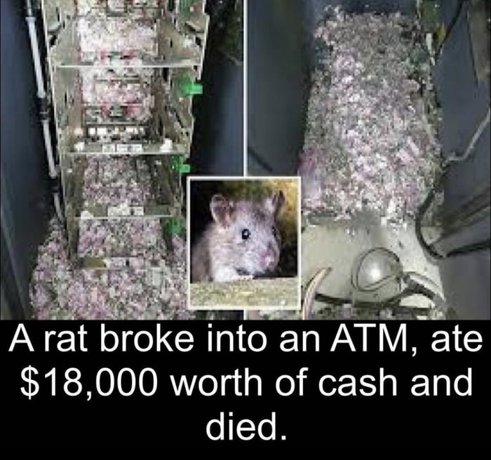 18000 worth of cash and osTo R