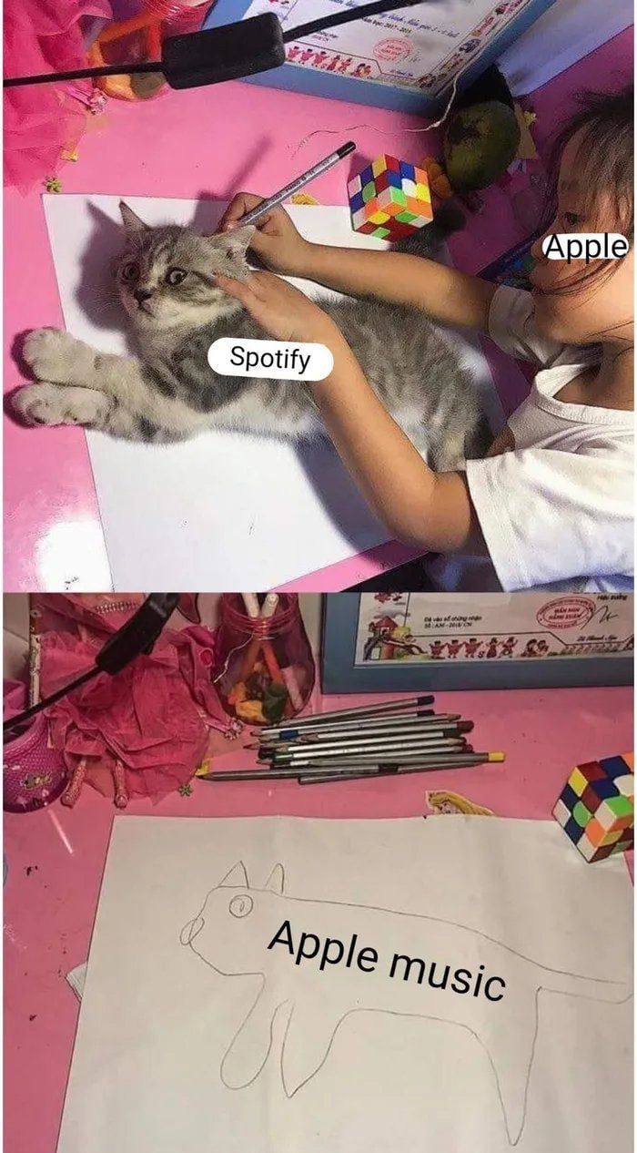 Spotiy T