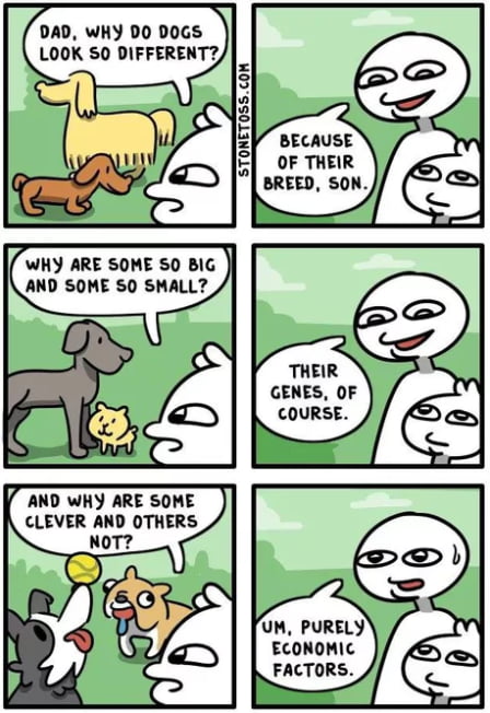 DAD WHY DO D0GS LOOK SO DIFFERENT BECAUSE OF THEIR BREED SON STONET0SSCOM WHY ARE SOME SO BIG AND SOME SO SMALL THEIR GENES OF COURSE UM PURELY ECONOMIC FACTORS