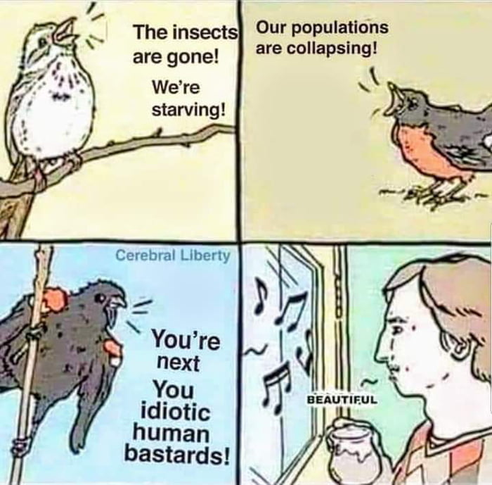 The inse are gone Were starving bastards