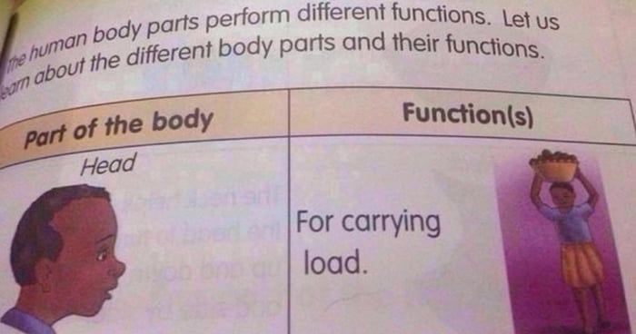 body parts perform different functions et ys n o the different body parts and their funcfions abou Head For carrying load