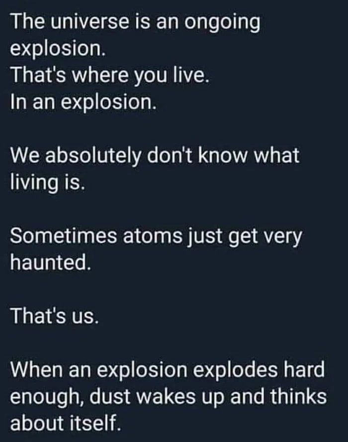 The universe is an ongoing explosion Thats where you live In an explosion We absolutely dont know what living is Slelp SN N EY TR eS 8Y1g haunted Thats us When an explosion explodes hard enough dust wakes up and thinks about itself