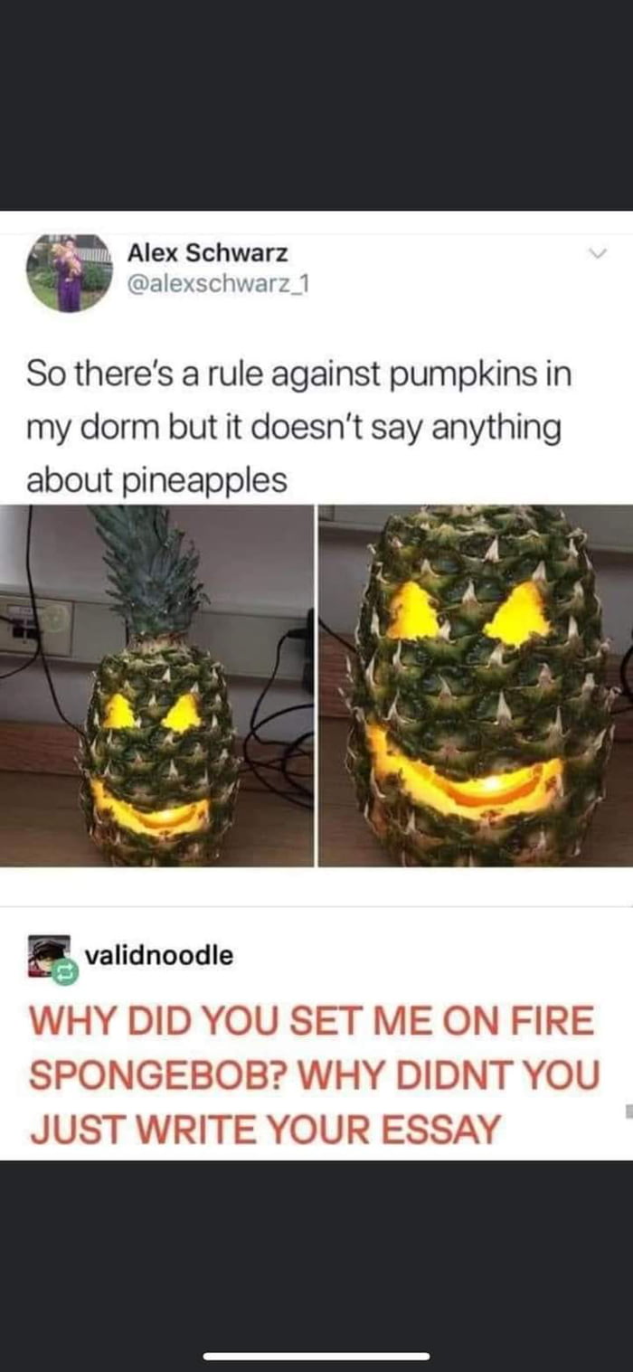 6 Alex Schwarz So theres a rule against pumpkins in my dorm but it doesnt say anything about pineapples Ejjvalidnoodle WHY DID YOU SET ME ON FIRE SPONGEBOB WHY DIDNT YOU JUST WRITE YOUR ESSAY